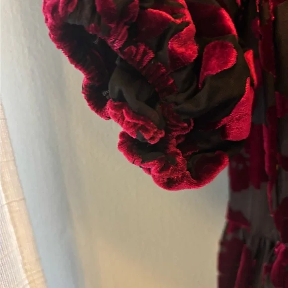 Taylor Burgundy Floral Velvet Dress - Picture 6 of 8